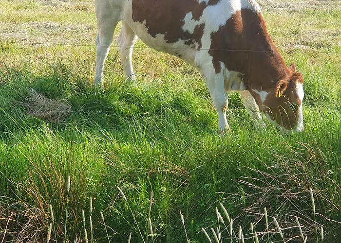 Haus Weitwinkel Casa de Férias