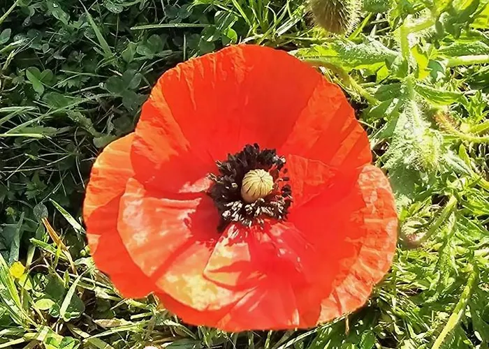 Haus Weitwinkel 펜션