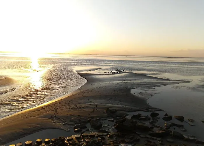 Haus Weitwinkel 펜션 Sehestedt (Lower-Saxony)